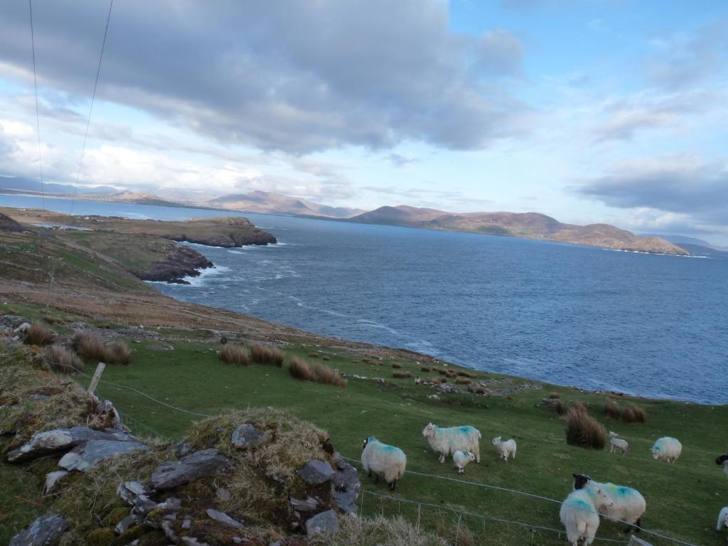 Skellig Cottages Ballinskelligs Ngoại thất bức ảnh
